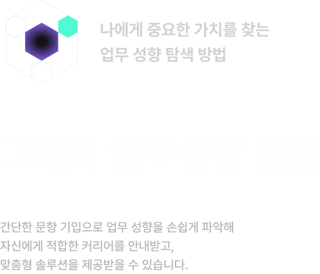 그래버 진단